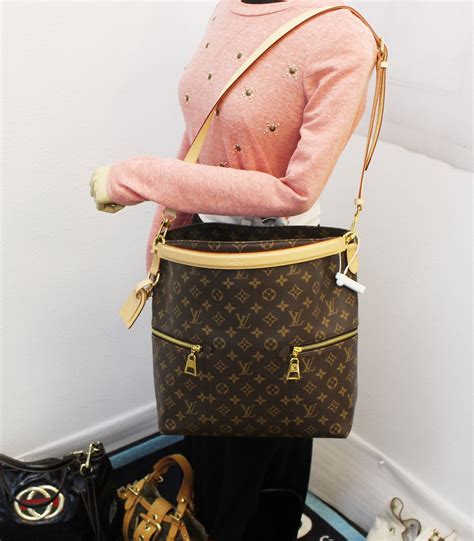 louis vuitton melie bag organizer|louis vuitton miele bag.